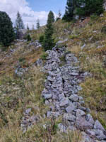 20250913_155403000_iOS 1.jpg